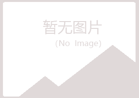 安阳盼山工程有限公司